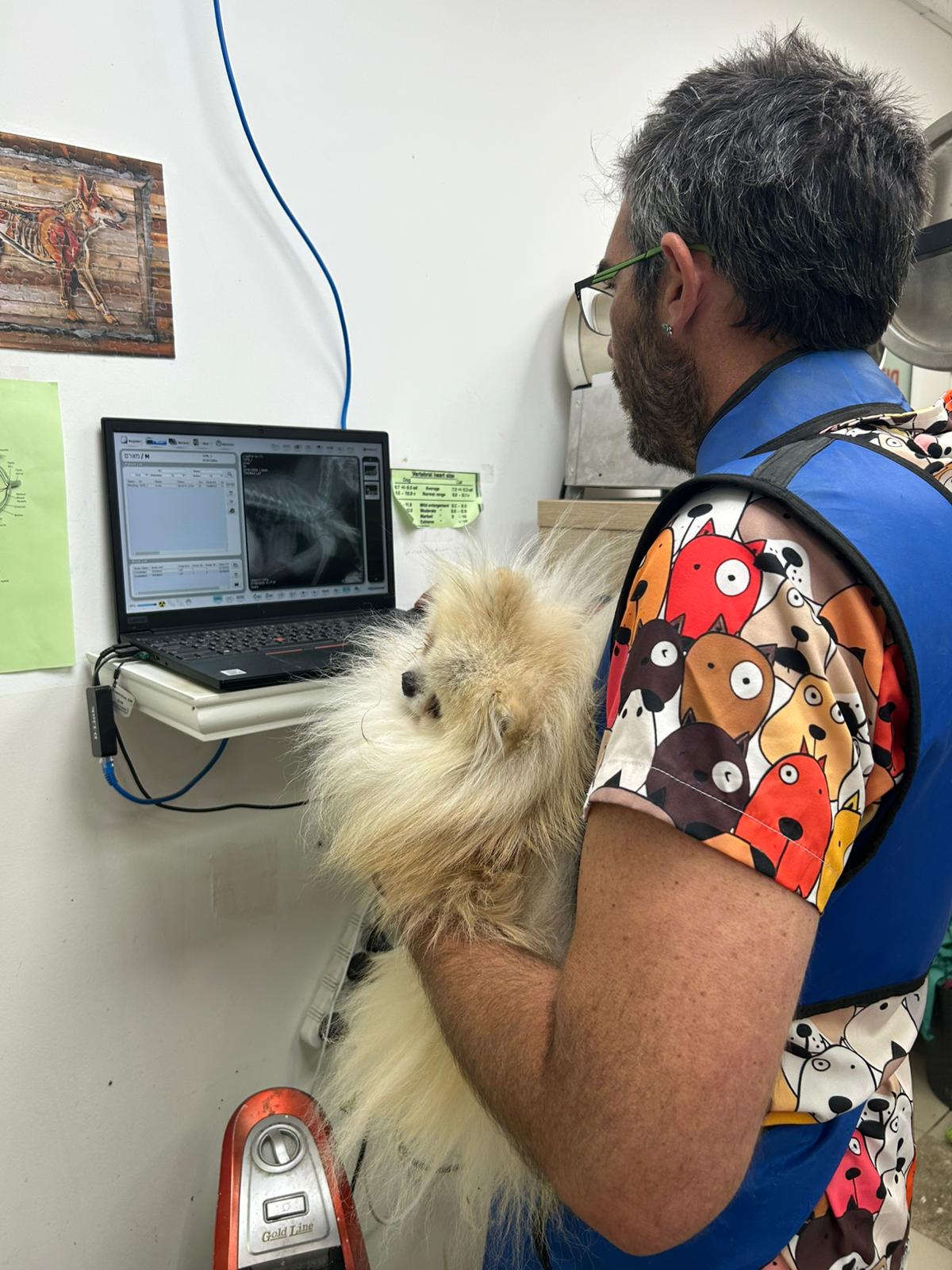 דר רמי פרלשטיין וטרינר בקרית שמונה